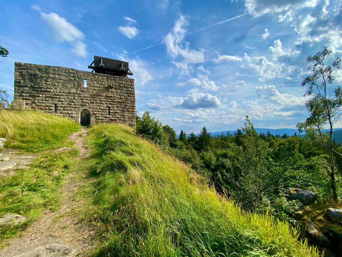 Ferienwohnung Oxana Im Naturpark Fichtelgebirge Schonwald  Екстериор снимка