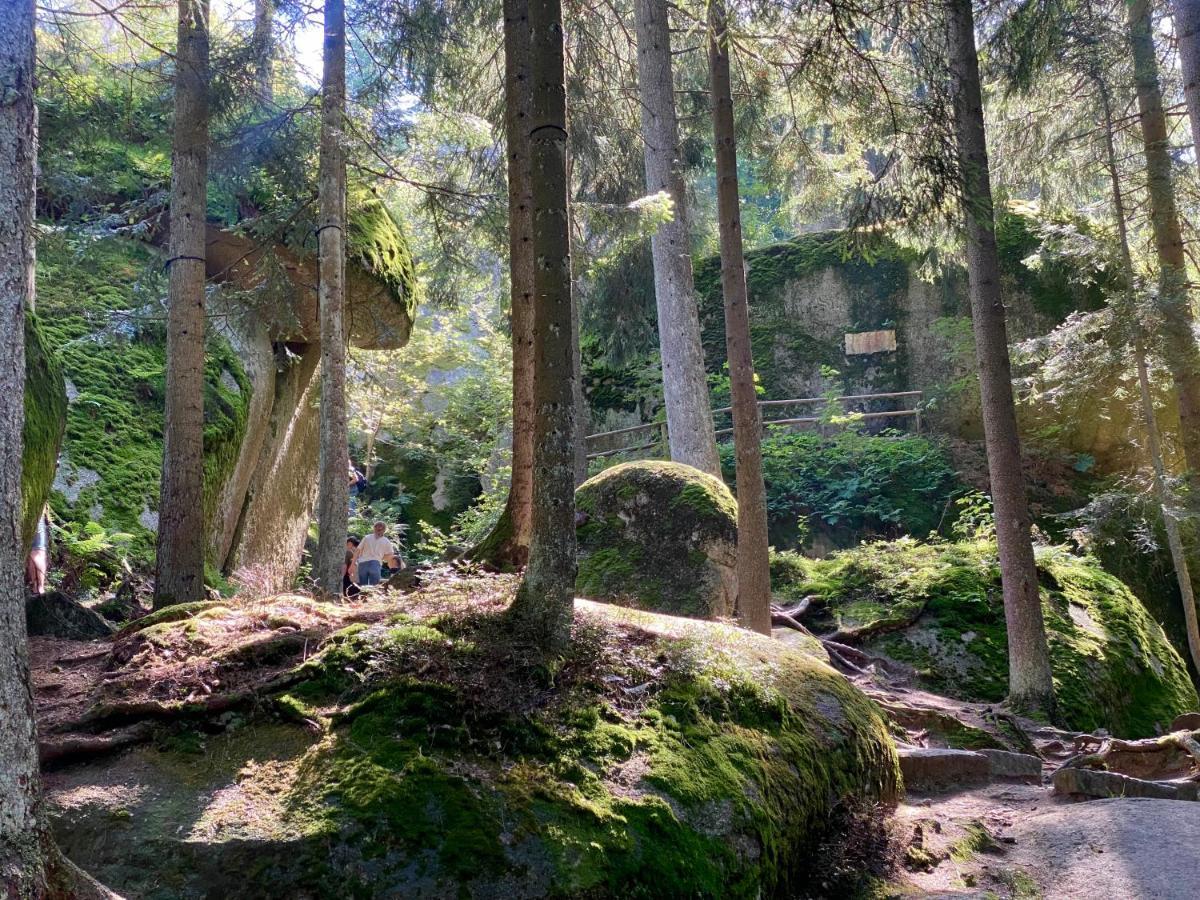 Ferienwohnung Oxana Im Naturpark Fichtelgebirge Schonwald  Екстериор снимка