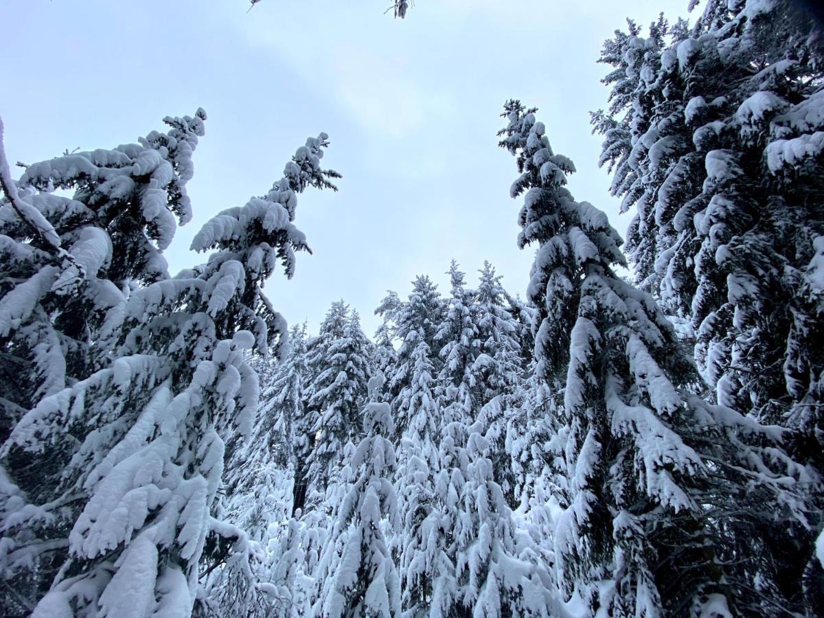 Ferienwohnung Oxana Im Naturpark Fichtelgebirge Schonwald  Екстериор снимка