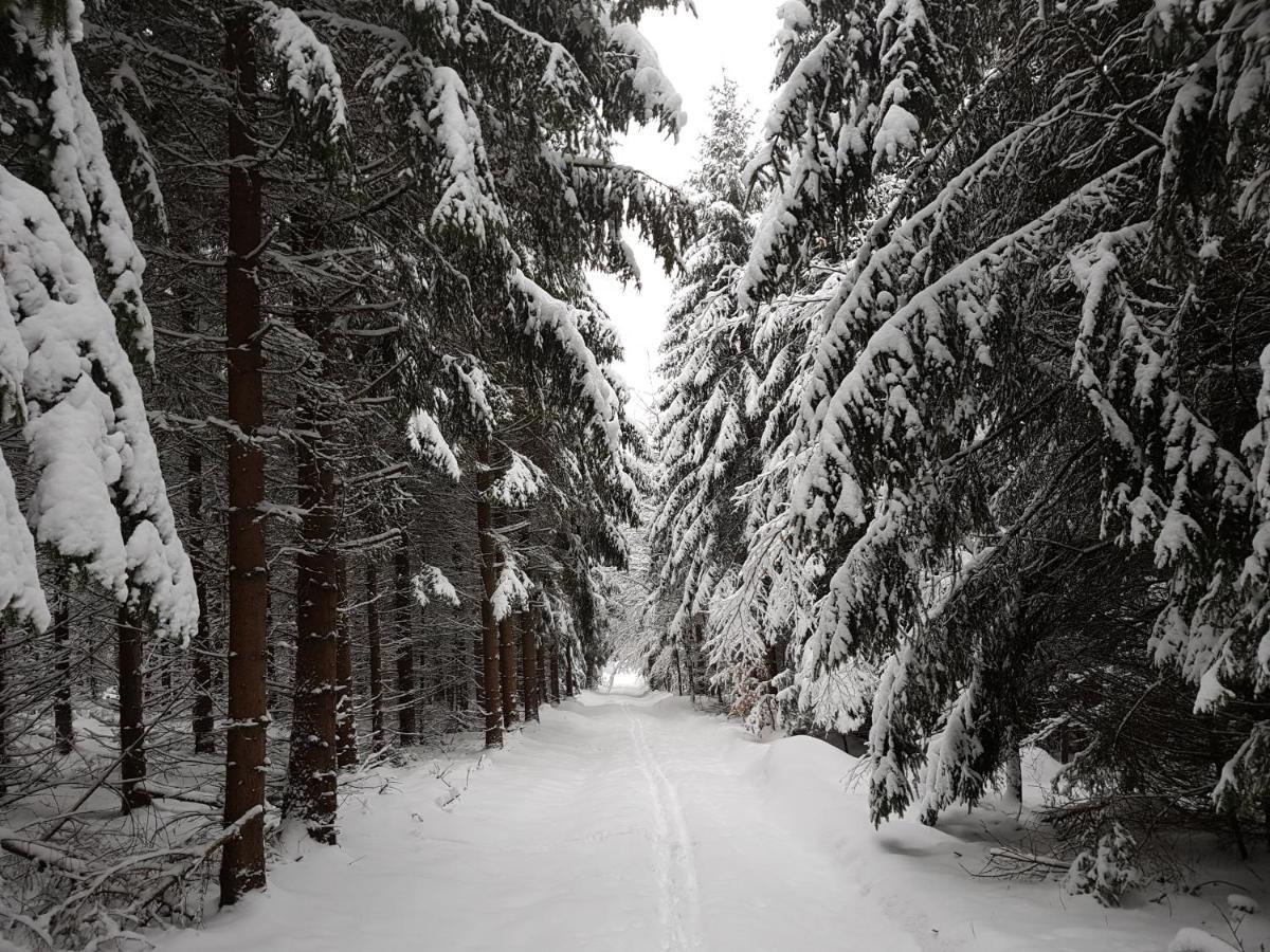 Ferienwohnung Oxana Im Naturpark Fichtelgebirge Schonwald  Екстериор снимка